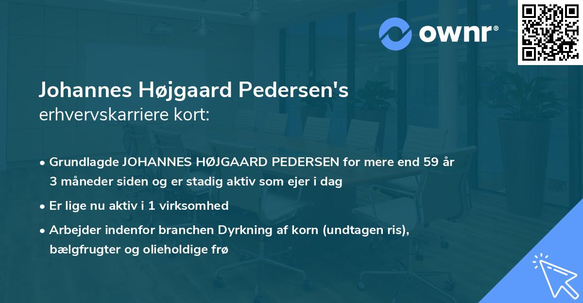 Johannes Højgaard Pedersen's erhvervskarriere kort