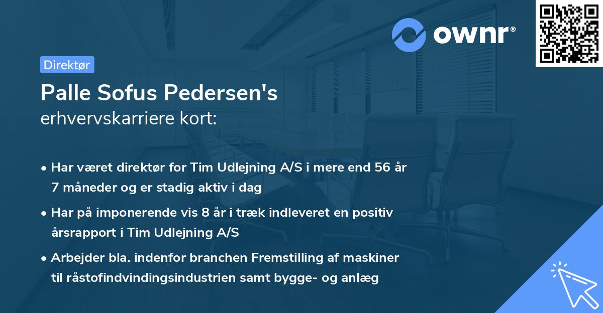 Palle Sofus Pedersen's erhvervskarriere kort