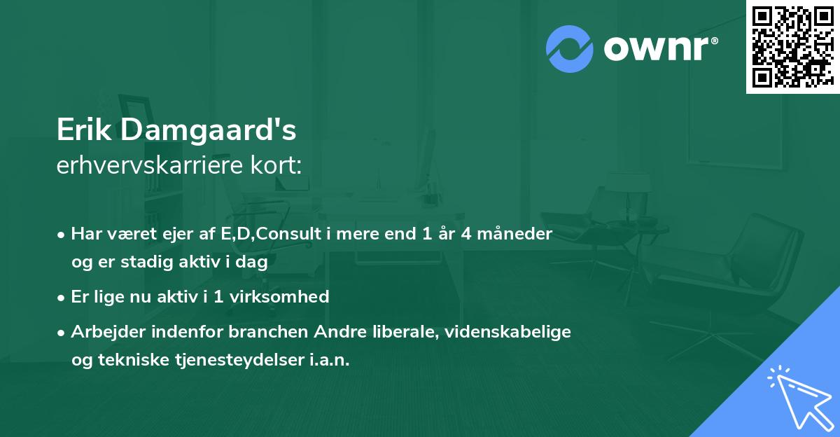 Erik Damgaard's erhvervskarriere kort