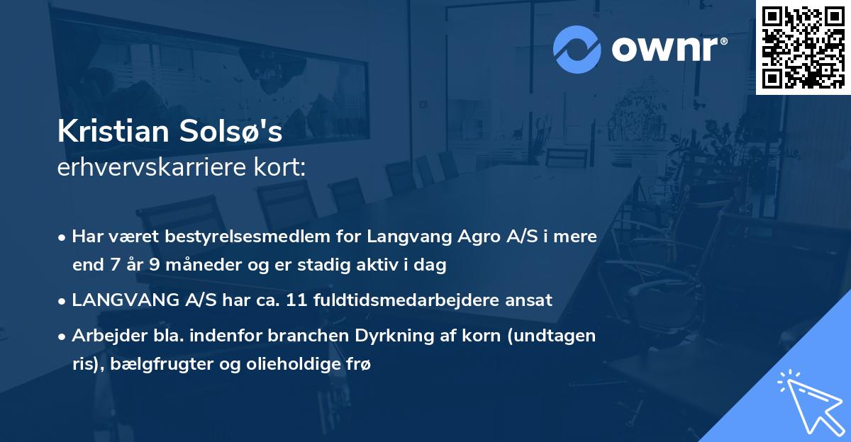 Kristian Solsø's erhvervskarriere kort