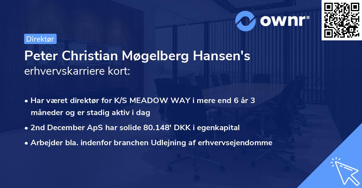 Peter Christian Møgelberg Hansen's erhvervskarriere kort