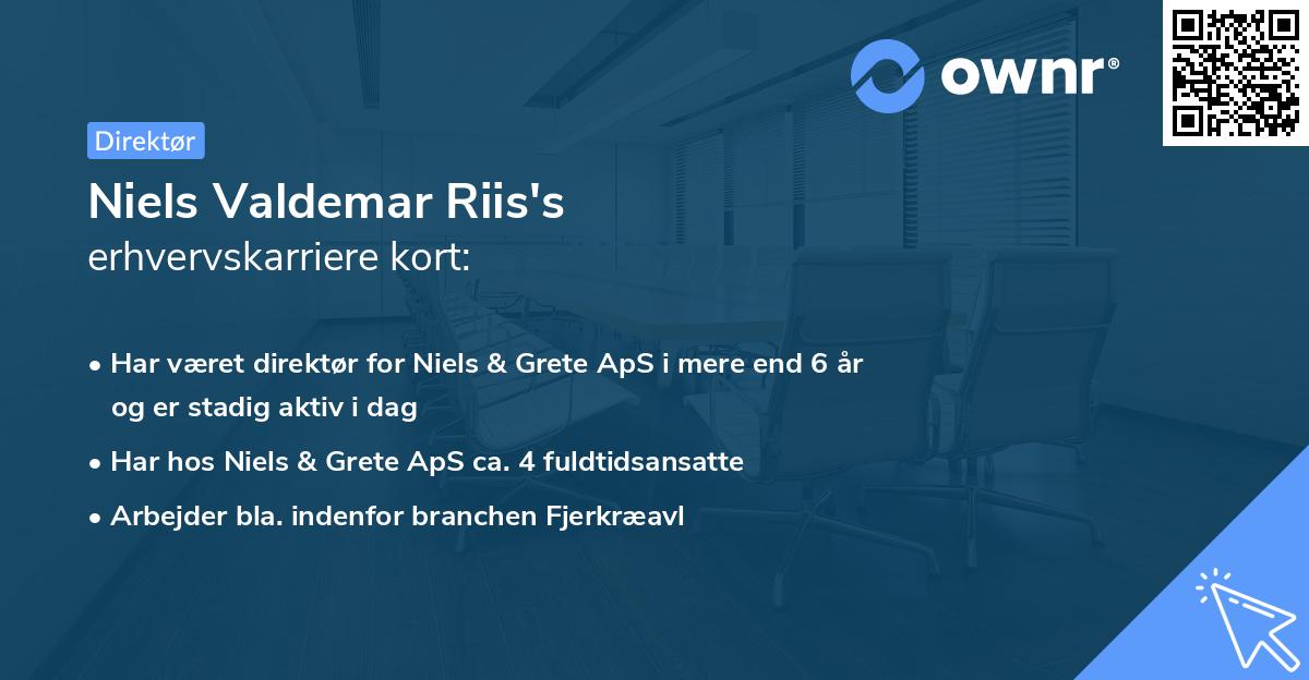 Niels Valdemar Riis's erhvervskarriere kort