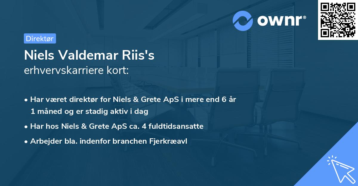 Niels Valdemar Riis's erhvervskarriere kort