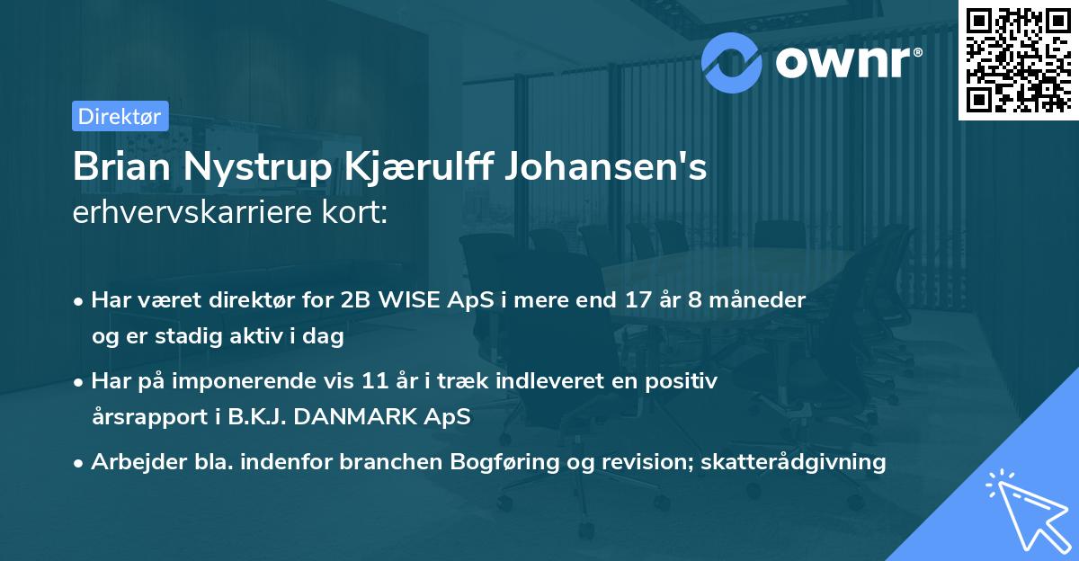 Brian Nystrup Kjærulff Johansen's erhvervskarriere kort