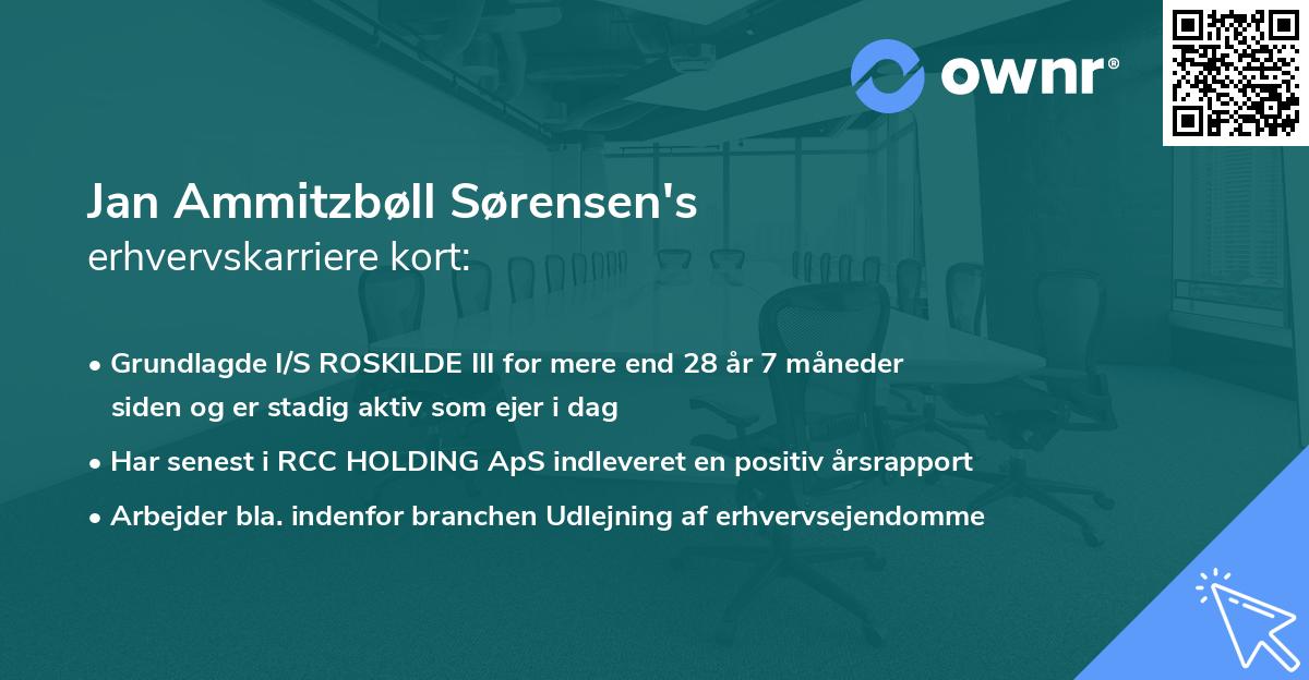 Jan Ammitzbøll Sørensen's erhvervskarriere kort