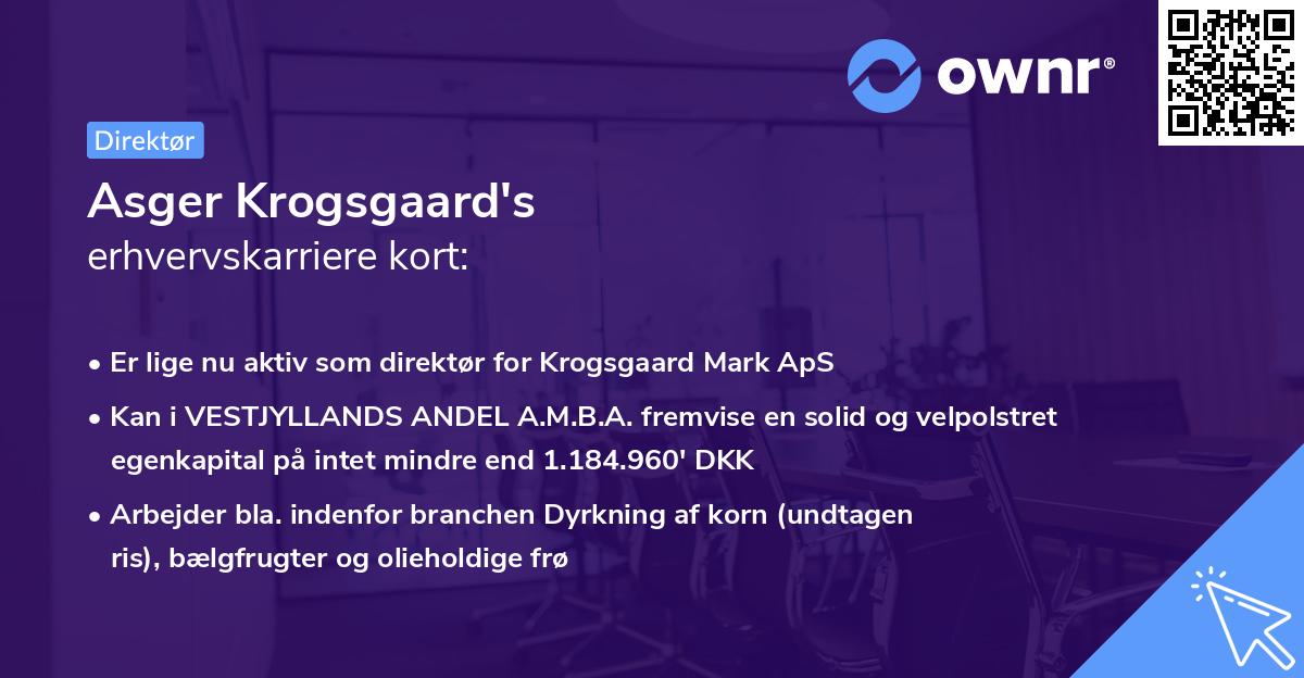 Asger Krogsgaard's erhvervskarriere kort