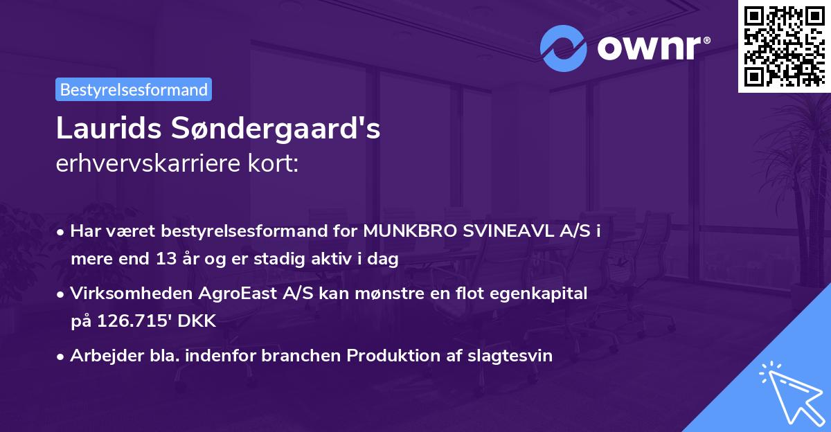 Laurids Søndergaard's erhvervskarriere kort