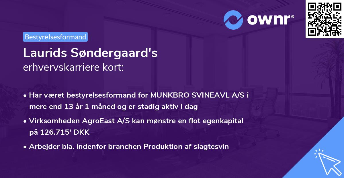 Laurids Søndergaard's erhvervskarriere kort