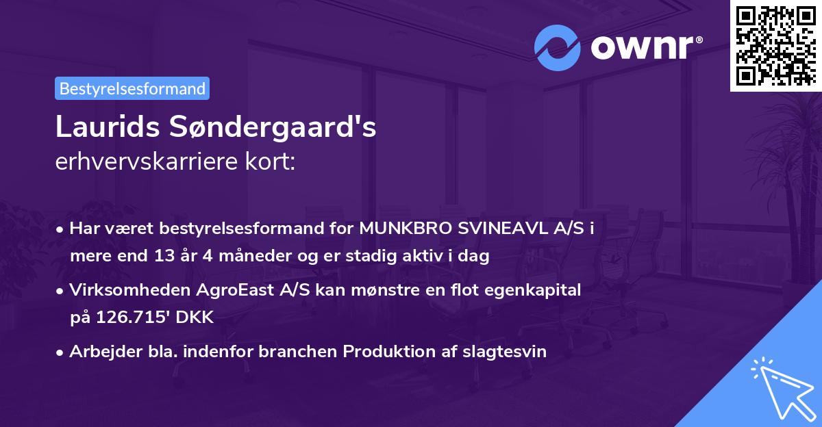 Laurids Søndergaard's erhvervskarriere kort