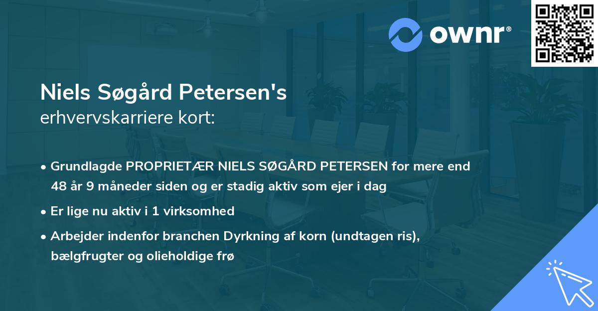 Niels Søgård Petersen's erhvervskarriere kort