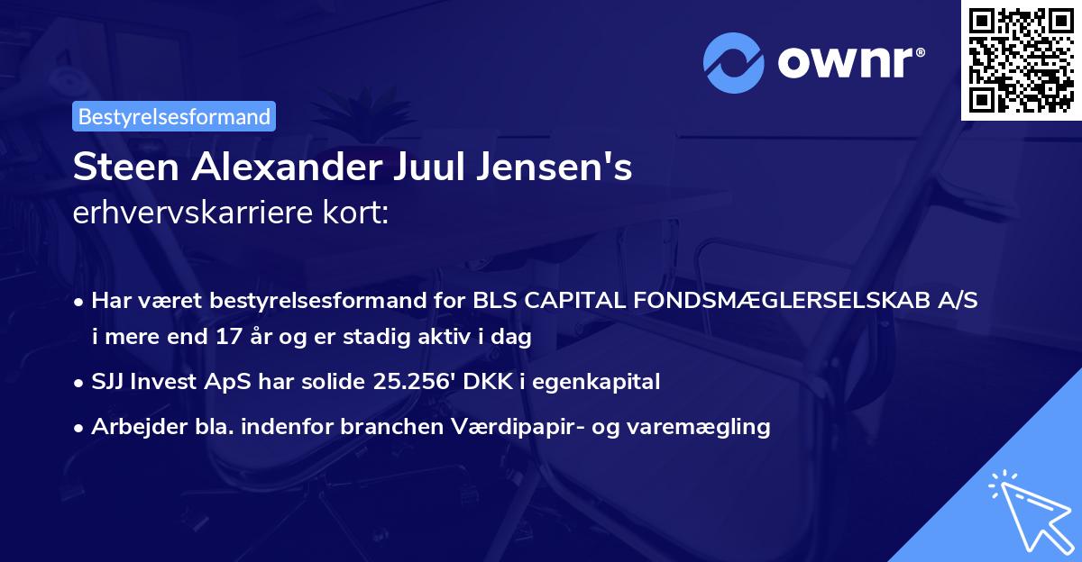 Steen Alexander Juul Jensen's erhvervskarriere kort