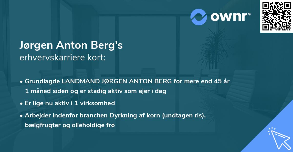 Jørgen Anton Berg's erhvervskarriere kort