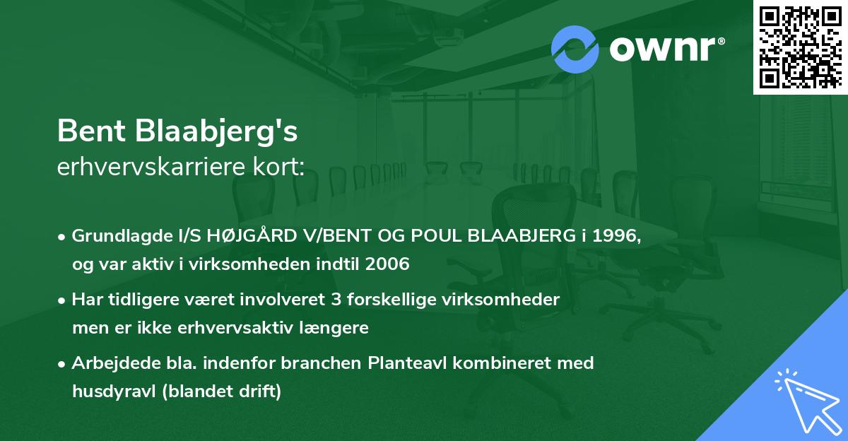 Bent Blaabjerg's erhvervskarriere kort