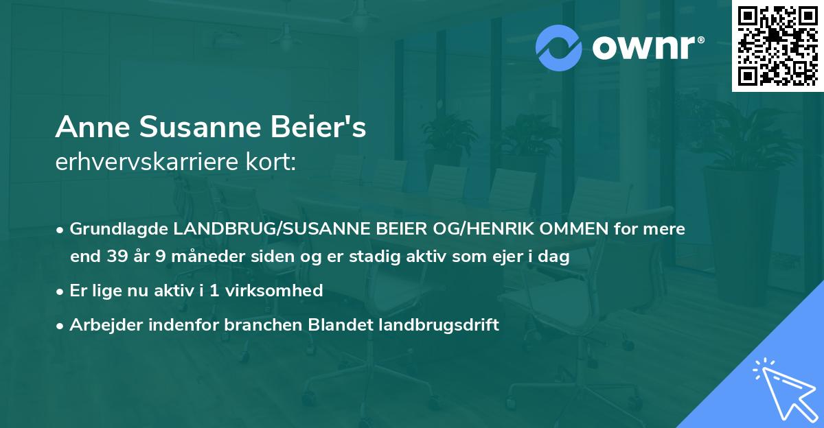 Anne Susanne Beier's erhvervskarriere kort