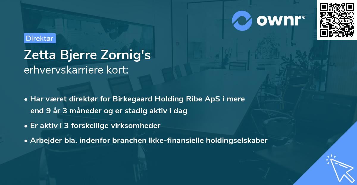 Zetta Bjerre Zornig's erhvervskarriere kort