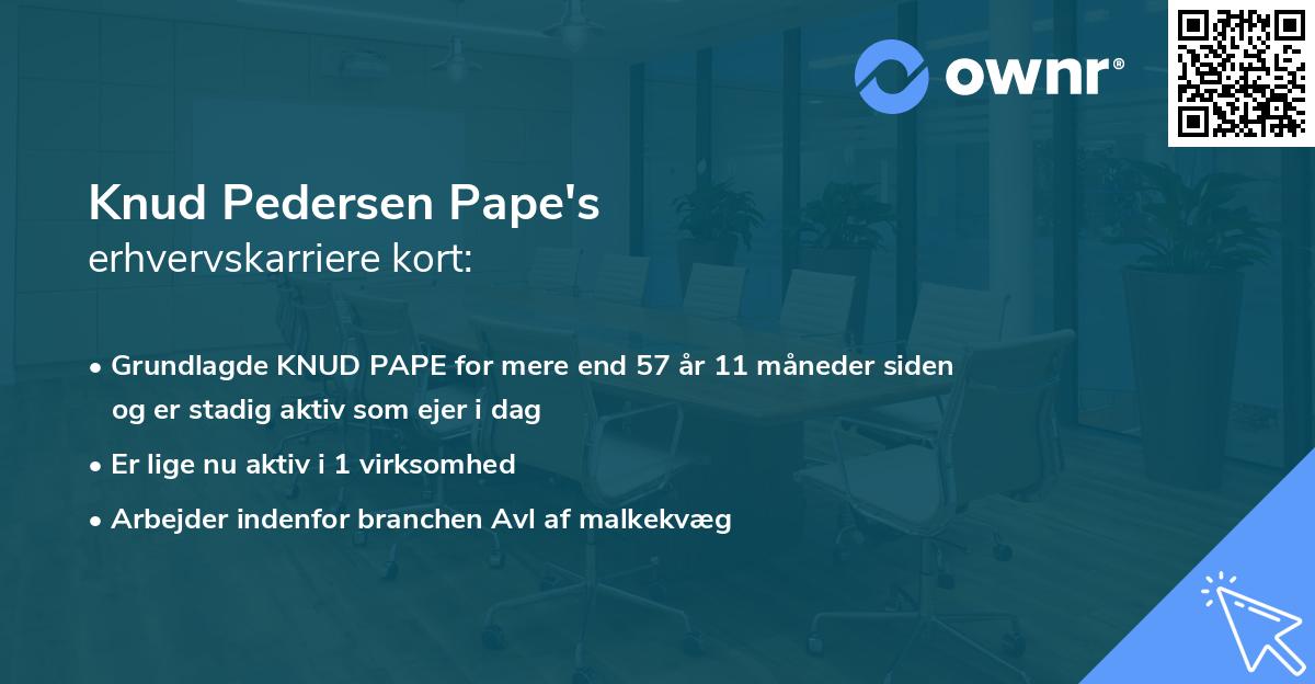 Knud Pedersen Pape's erhvervskarriere kort
