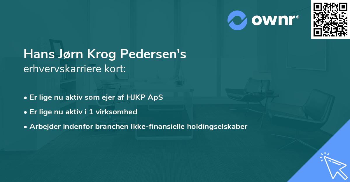 Hans Jørn Krog Pedersen's erhvervskarriere kort