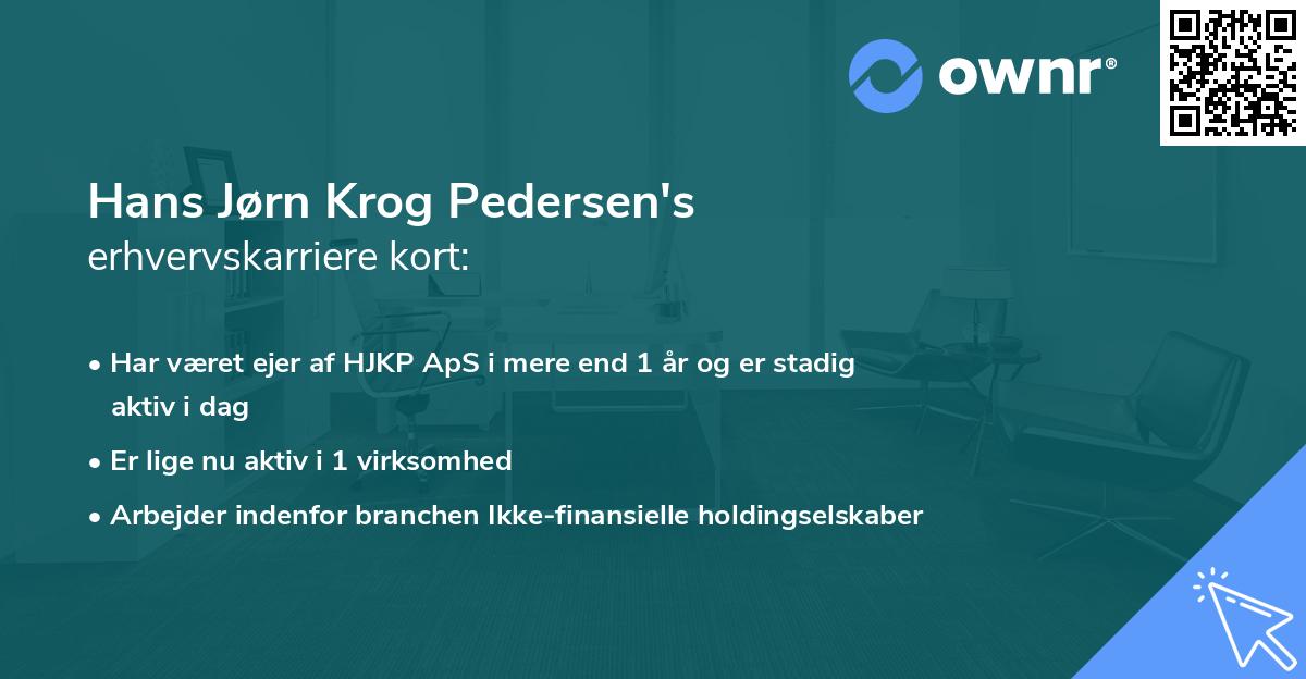 Hans Jørn Krog Pedersen's erhvervskarriere kort