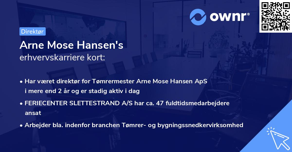 Arne Mose Hansen's erhvervskarriere kort