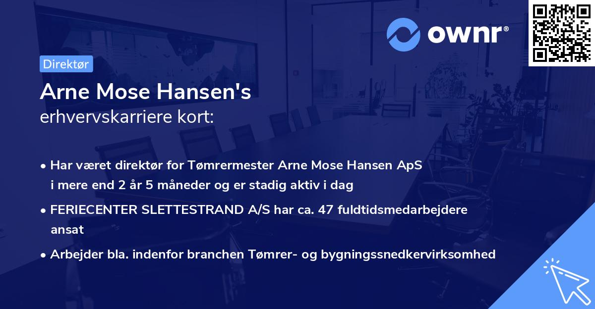 Arne Mose Hansen's erhvervskarriere kort