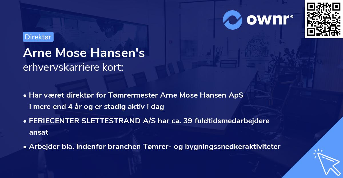 Arne Mose Hansen's erhvervskarriere kort