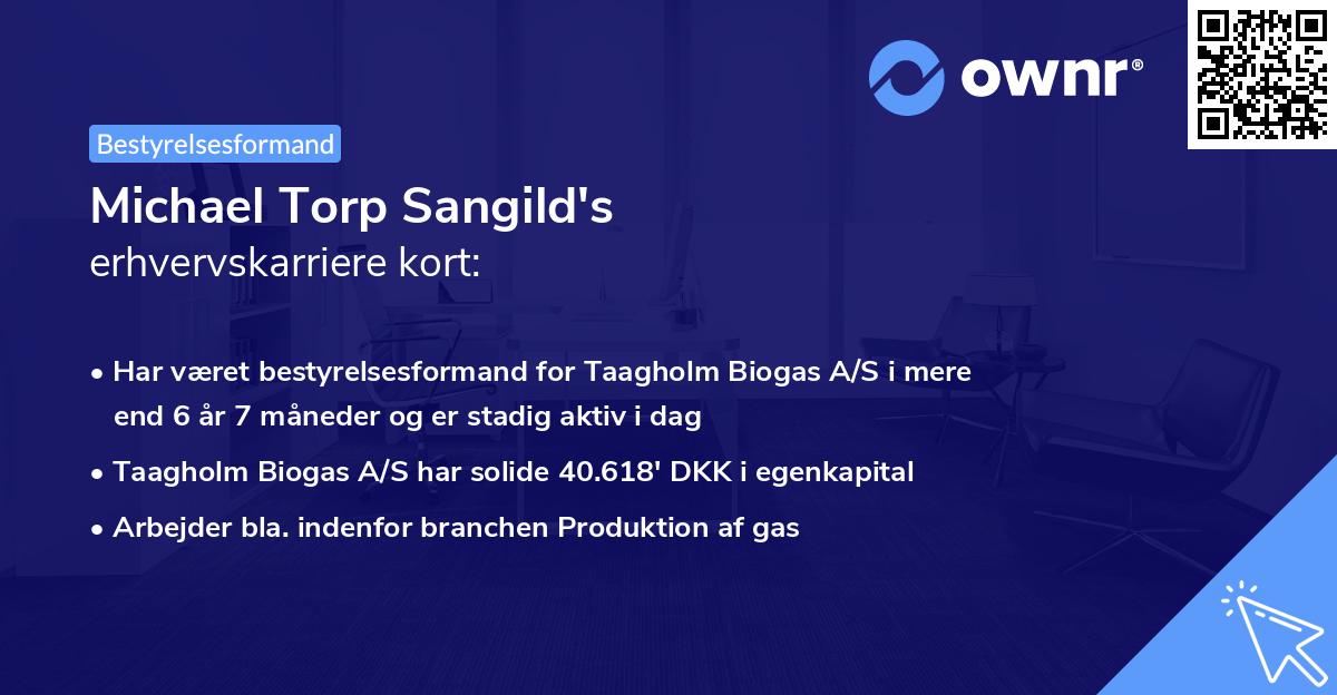 Michael Torp Sangild's erhvervskarriere kort