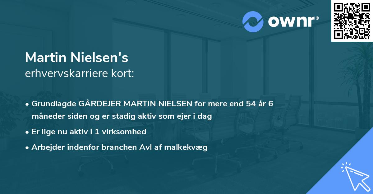 Martin Nielsen's erhvervskarriere kort
