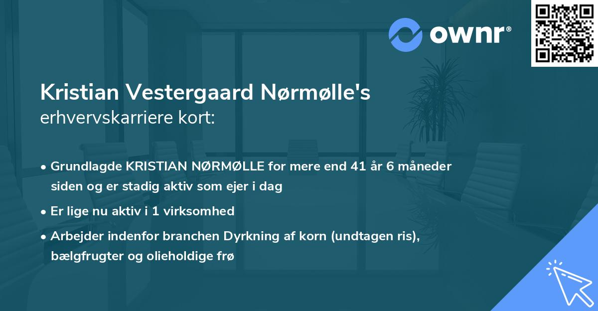 Kristian Vestergaard Nørmølle's erhvervskarriere kort