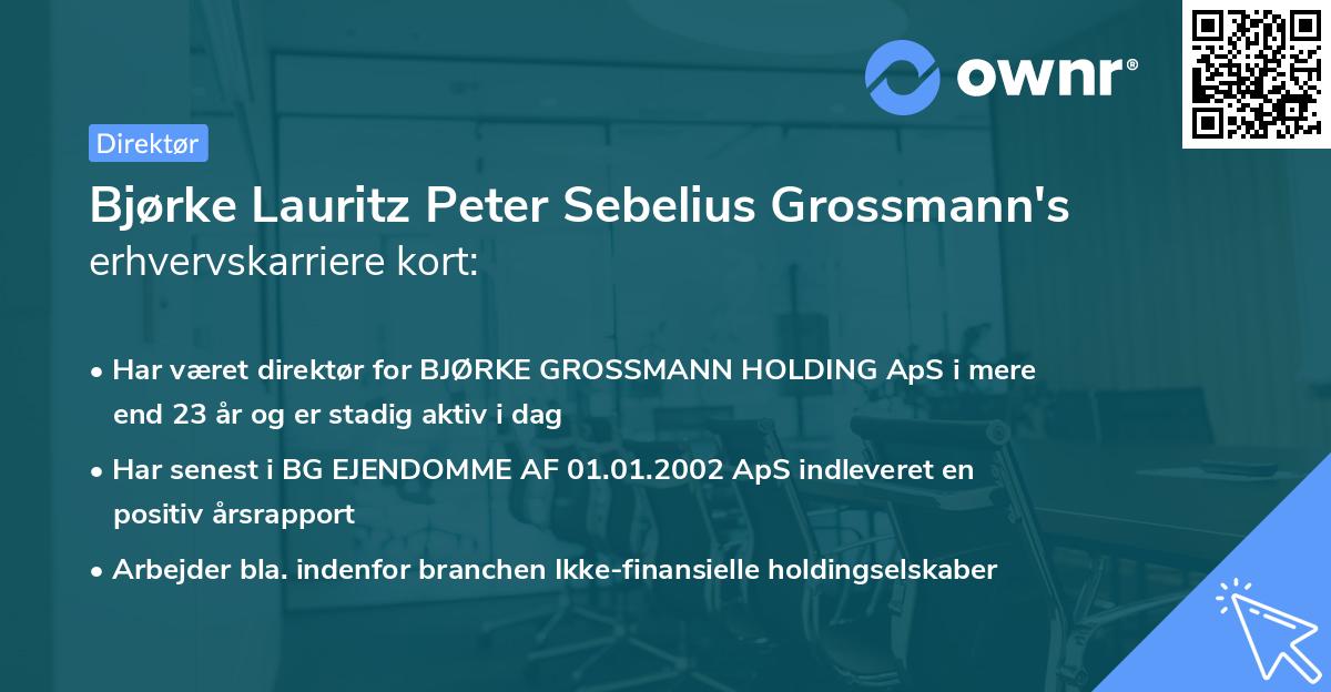 Bjørke Lauritz Peter Sebelius Grossmann's erhvervskarriere kort