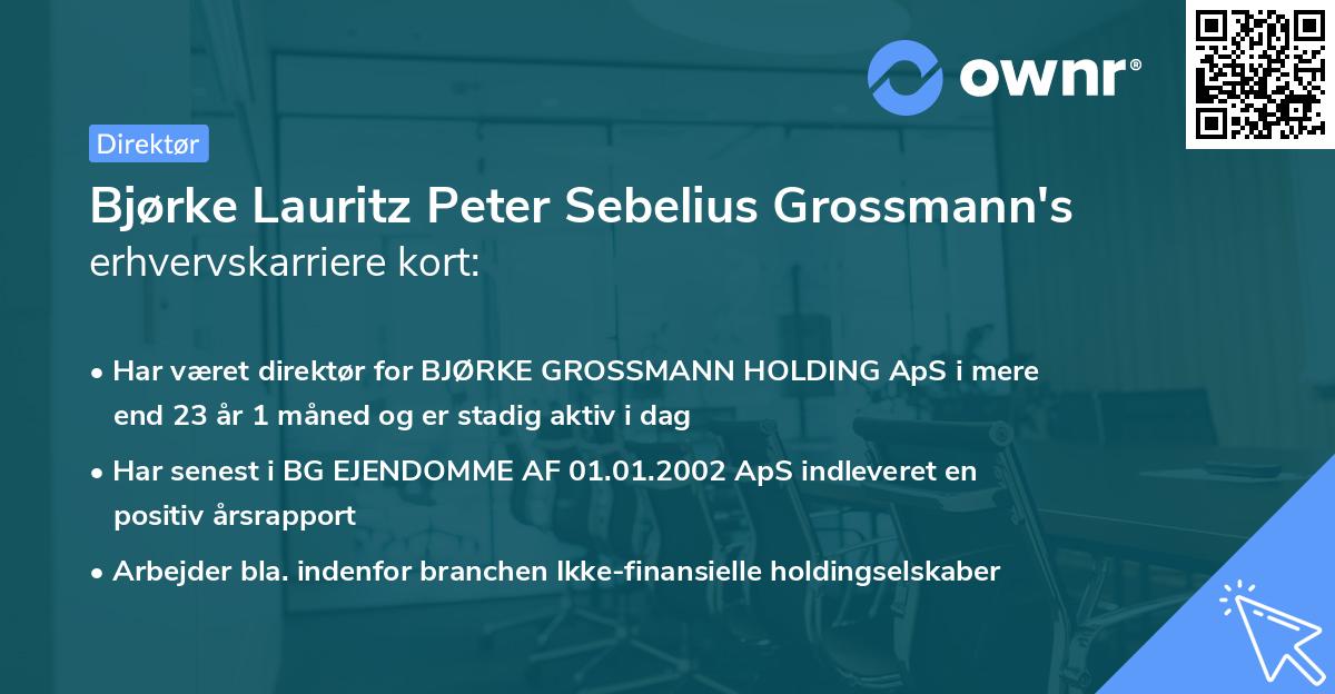 Bjørke Lauritz Peter Sebelius Grossmann's erhvervskarriere kort