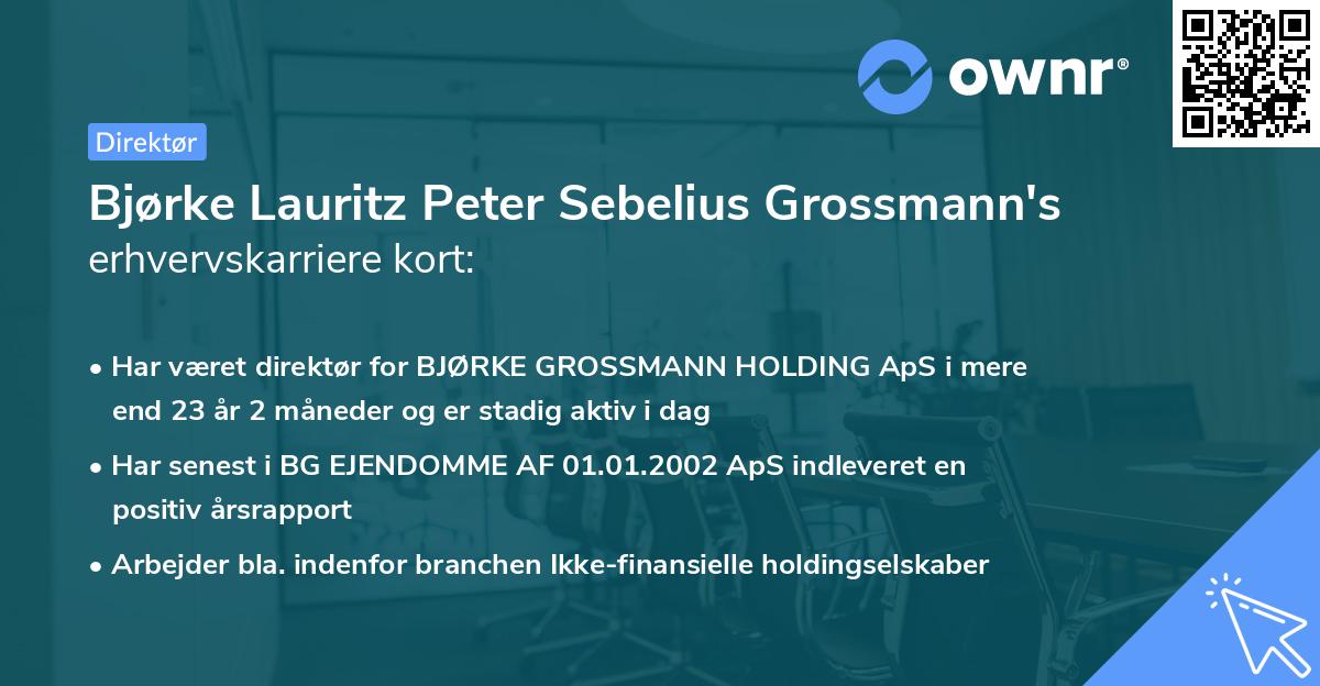 Bjørke Lauritz Peter Sebelius Grossmann's erhvervskarriere kort