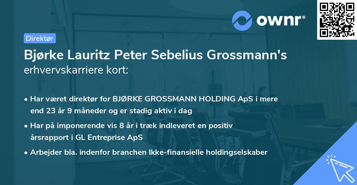 Bjørke Lauritz Peter Sebelius Grossmann's erhvervskarriere kort