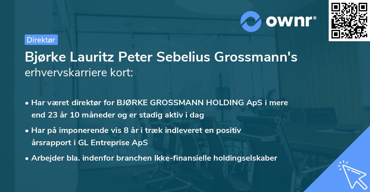 Bjørke Lauritz Peter Sebelius Grossmann's erhvervskarriere kort