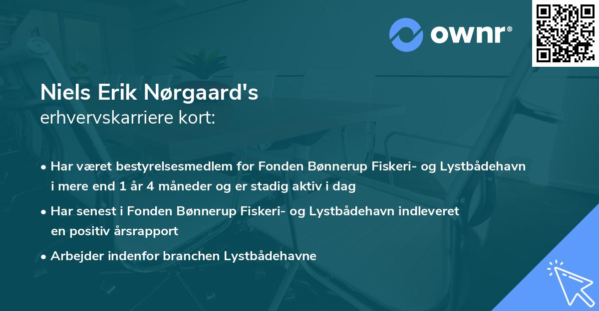 Niels Erik Nørgaard's erhvervskarriere kort