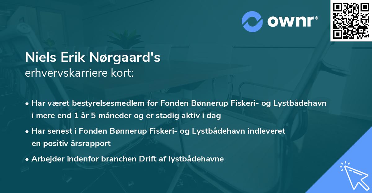 Niels Erik Nørgaard's erhvervskarriere kort