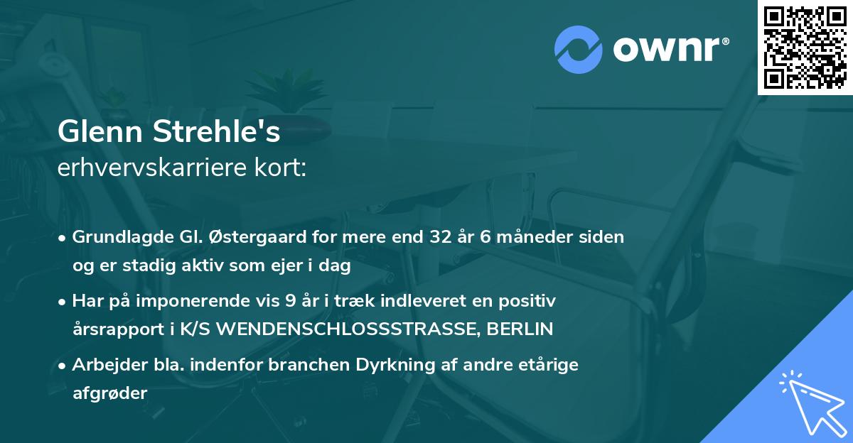 Glenn Strehle's erhvervskarriere kort