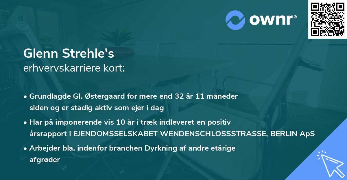 Glenn Strehle's erhvervskarriere kort