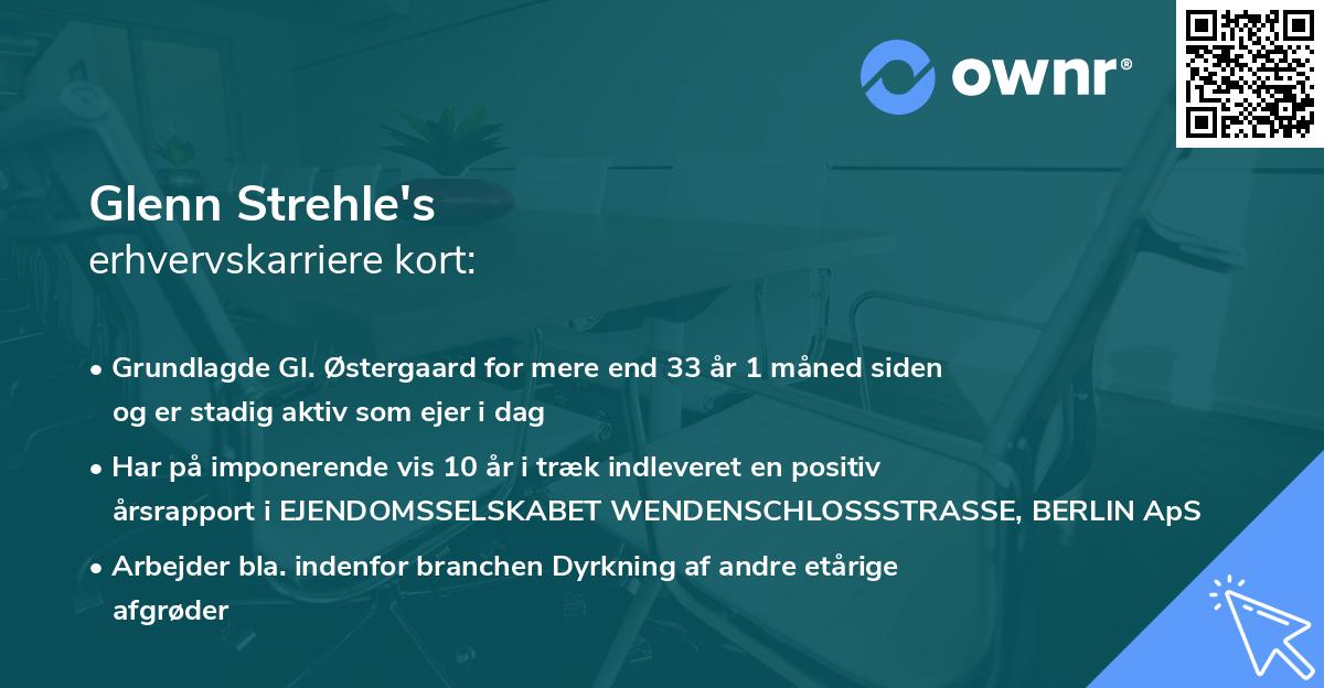 Glenn Strehle's erhvervskarriere kort