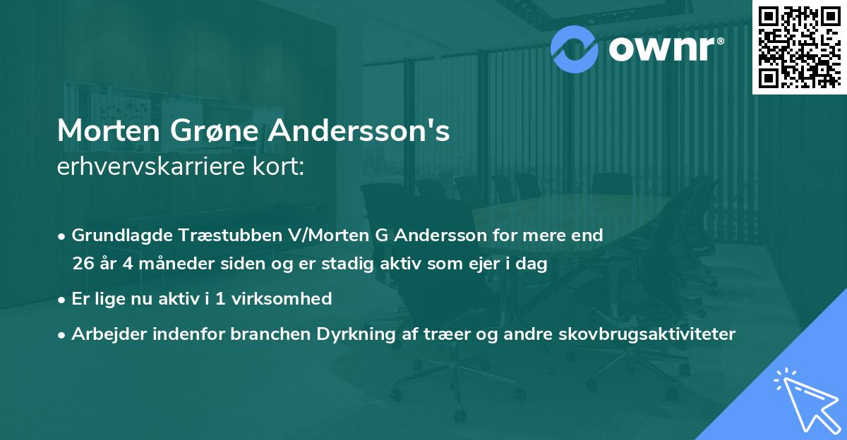 Morten Grøne Andersson's erhvervskarriere kort