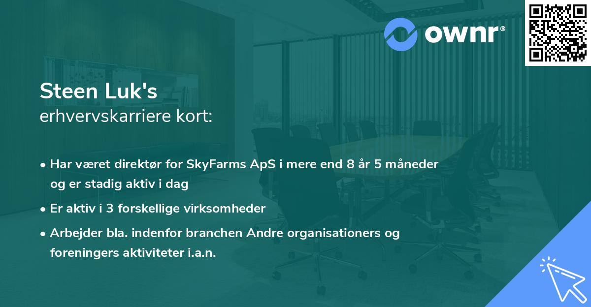 Steen Luk's erhvervskarriere kort