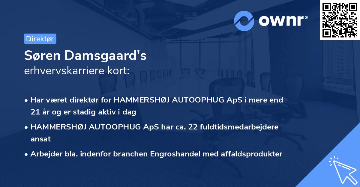 Søren Damsgaard's erhvervskarriere kort