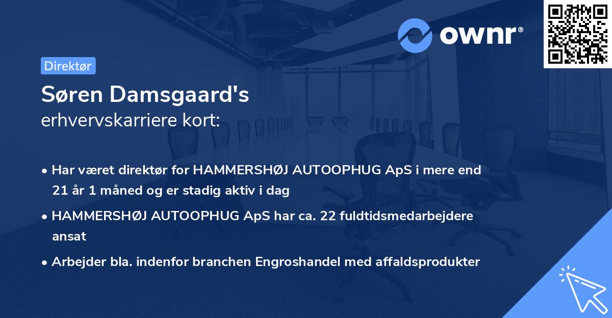 Søren Damsgaard's erhvervskarriere kort