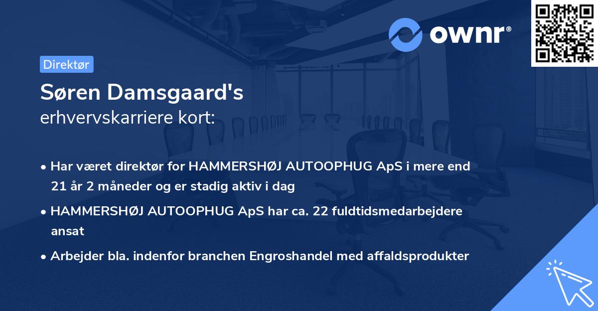 Søren Damsgaard's erhvervskarriere kort