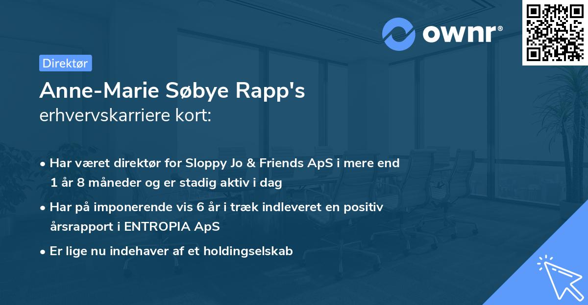 Anne-Marie Søbye Rapp's erhvervskarriere kort