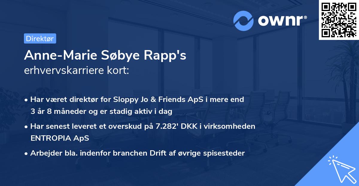 Anne-Marie Søbye Rapp's erhvervskarriere kort
