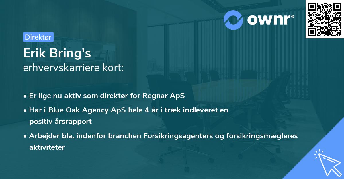Erik Bring's erhvervskarriere kort