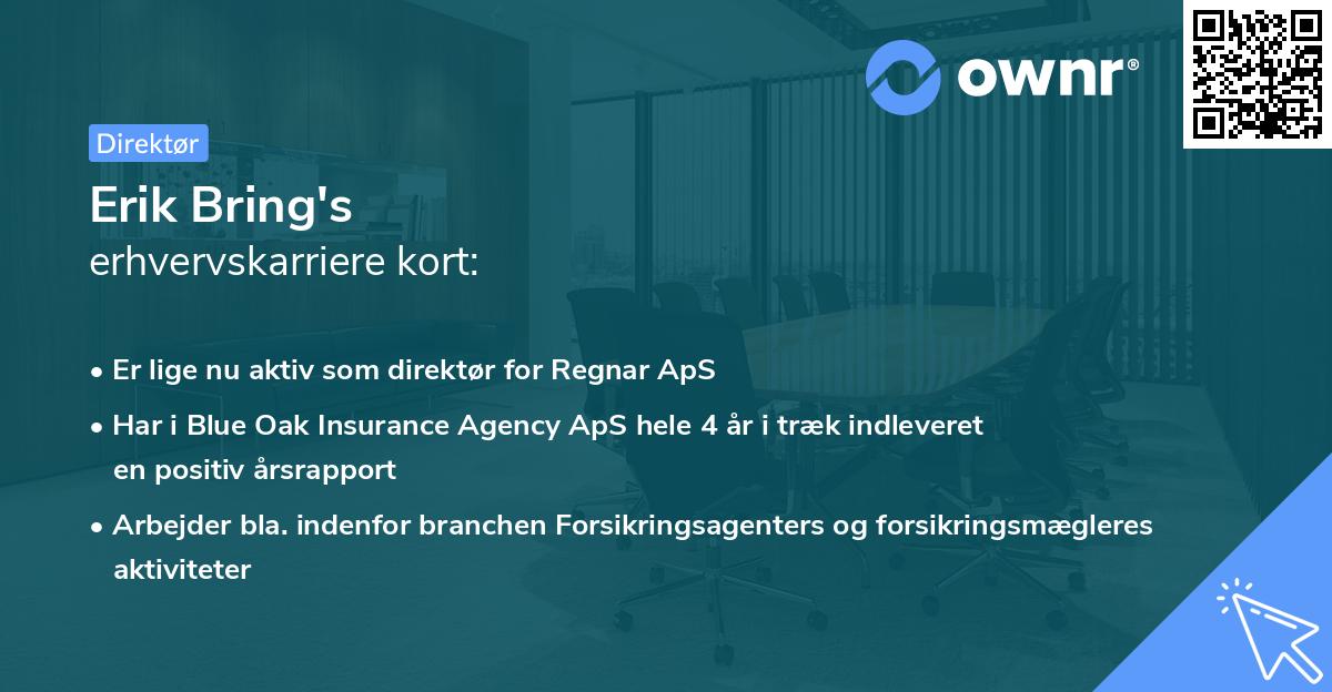 Erik Bring's erhvervskarriere kort