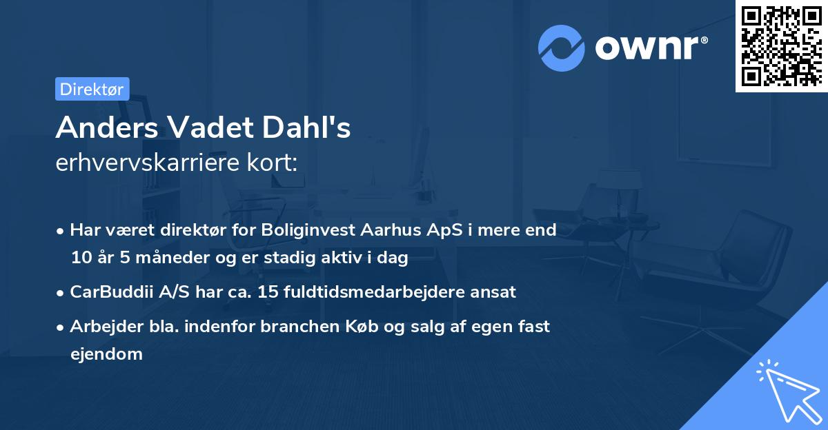 Anders Vadet Dahl's erhvervskarriere kort