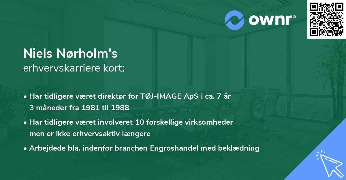 Niels Nørholm's erhvervskarriere kort