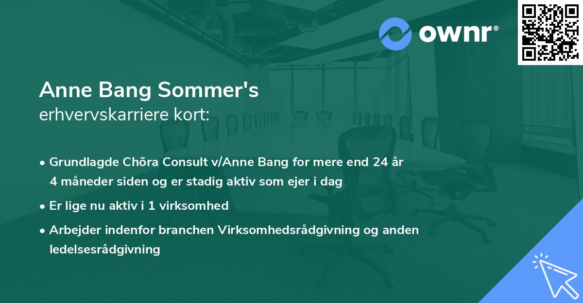 Anne Bang Sommer's erhvervskarriere kort